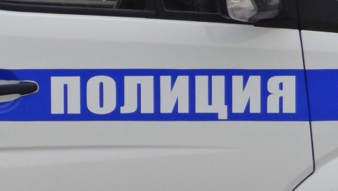 Факт незаконной вырубки леса выявлен полицейскими в Тоншаевском районе